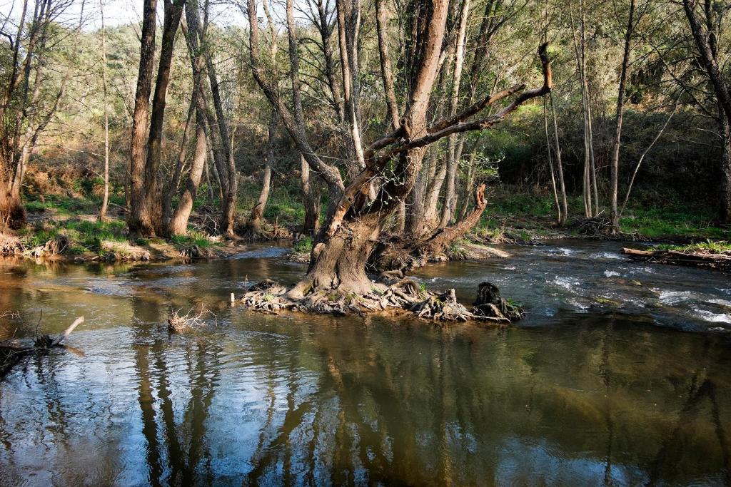 Апартаменты El Molino Del Corcho Казалла де ла Сиерра Экстерьер фото