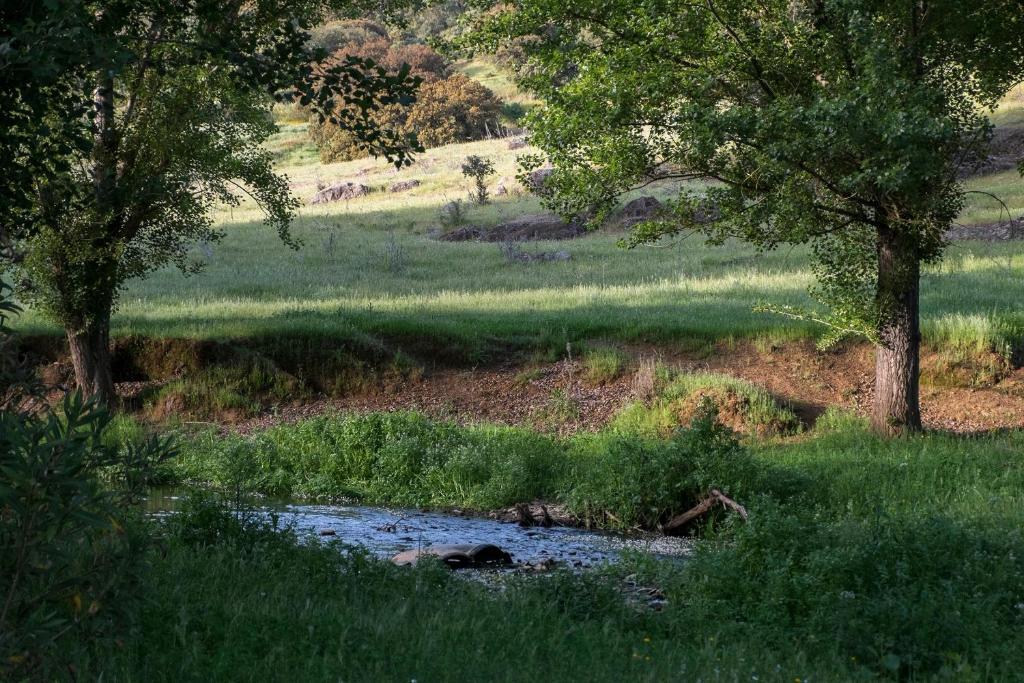 Апартаменты El Molino Del Corcho Казалла де ла Сиерра Экстерьер фото