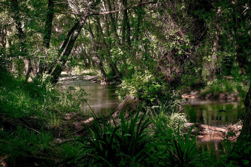 Апартаменты El Molino Del Corcho Казалла де ла Сиерра Экстерьер фото