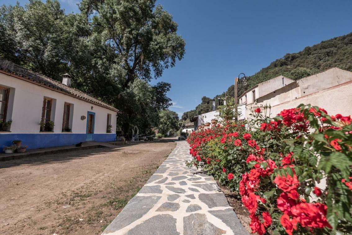 Апартаменты El Molino Del Corcho Казалла де ла Сиерра Экстерьер фото